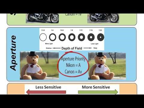 4 Photography Tips for DSLR Tutorial for Beginners