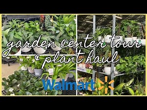 Plant Shopping at Walmart | Walmart Garden Center Tour | Shop Rare Pothos | Plant Haul April 2022