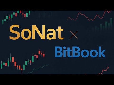 Запись эксклюзивной встречи с BitBook | Запуск SoNat и планы по токену BBK
