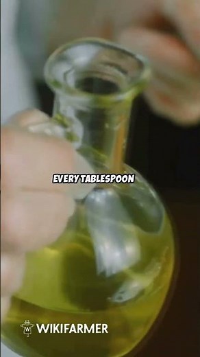 Olive Oil Salad Dressing