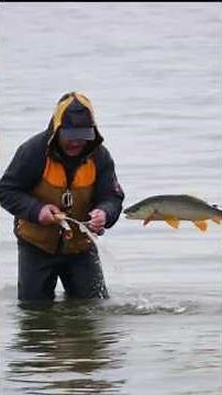 Fish Feeding Farming Guide | Smart Techniques for Growth