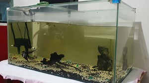 TINGNAN: Makikita ang pagdaluyong ng tubig sa aquarium dahil sa lakas ng lindol na naramdaman sa Davao Occidental. Niyanig ng magnitude 6.4 na lindol ang Don Marcelino, Davao Occidental 11:23 PM, Set. 06, 2020. (📹 Paul Palacio) Ayon sa Phivolcs, inaasahan ang mga aftershock. https://bit.ly/3221D7u | ABS-CBN News