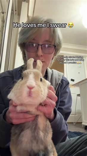 Adorable Bunnies Dancing to SpongeBob Music