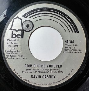 David Cassidy - Could It Be Forever