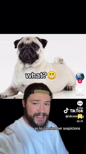 Hidden Cam Catches Unseen Actions of Pets 🐶🐱