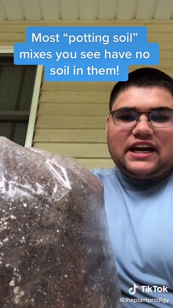 Ig: @theplantprodigy on TikTok