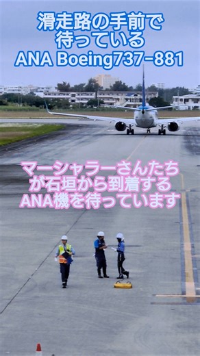 [Short Ground Handling Video] 🥭 Marshallers are waiting for an ANA plane arriving from Ishigaki.