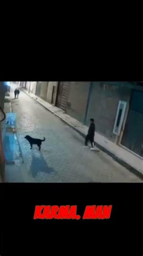 Man tries to kick a dog and gets INSTANT Karma #dogs #karma