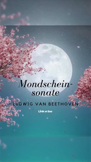 Zur späten Stunde: die Mondscheinsonate für euch, gespielt von @dbarenboim 🎹 Das ganze Video (und Stück) findet ihr auf unserem YouTube-Kanal, Link in der Bio. Gute Nacht! #mondscheinsonate #beethoven #ludwigvanbeethoven #klassik #klavier #klassischemusik #danielbarenboim | Meine Klassik