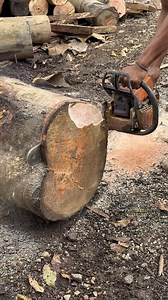 perfectly round thin saw blade cuts | Jati Manungal