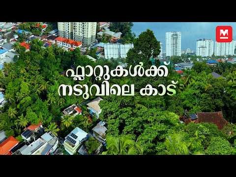 കൊച്ചി നഗരത്തിന് നടുവിലെ വനം |​​ Man-made Forest in the Heart of Kochi | Archive