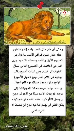 قصة غريبة… خوف أسد أمام فأر يكشف حقيقة لا يتوقعها أحد!