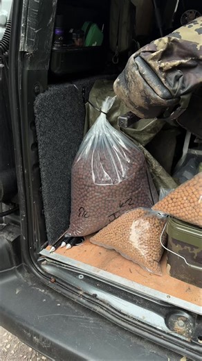 Ultimate Guide to Carp Bait: Boilies for Fishing Trips