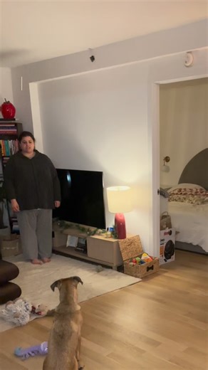 19K views · 78 reactions | Shaggy update ❤️ I’m so proud of him!!! Any basic training tips welcome in the comments! #dogtraining #dogtrainingtips #puppy #puppytrainingtips #puppytraining #shaggy #dogs #dog #dogsofinstagram #dogsofnyc #cutedog #funnydog #fyp #explorepage | Andrea Tamasi | Facebook