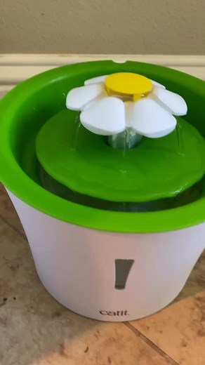 Cat essentials pt1 #catessentials #catmusthaves #kitty #catsoftiktok