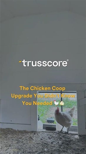 The Chicken Coop Upgrade You Didn’t Know You Need