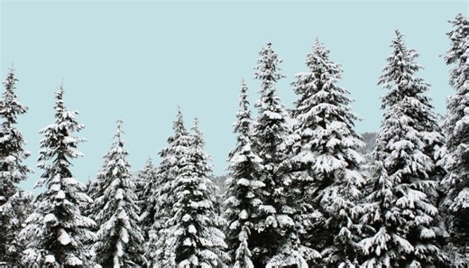 The science and celebration of the winter solstice - The Weather Network