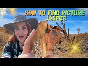I Found INSANE Picture Jasper Hidden All Over This Hill!