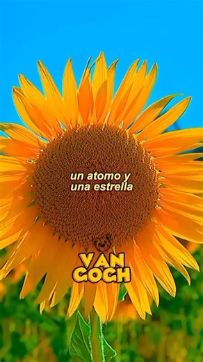 AURORA - Everything Matters ( Lyrics )