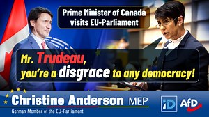 🇨🇦 🇺🇸 🇬🇧 🇦🇺 Dear fellow citizens, Today, Canada's Prime Minister Justin Trudeau visited the EU Parliament to give a speech. I took the opportunity to give him an appropriate "welcome" there. Short, concise and right hitting the bull's eye! | Christine Anderson