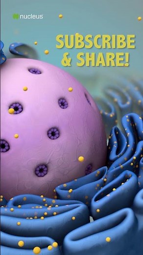 Biology Quiz: What are organelles?