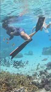 Snorkeling in French Polynesia