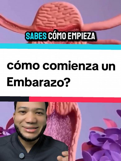 Cómo comienza el embarazo: Proceso de fecundación