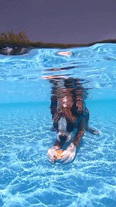 Does your dog like water? I love it, but you probably already knew 🥰 #boxer #boxerdog #doglover | Bobby from the bin