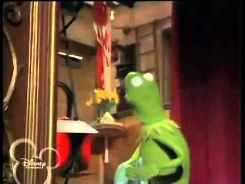Kermit the Frog Freaks Out