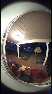 Watch as a bat suddenly swoops down from the porch ceiling, causing panic and screams! Captured with a creepy fish-eye lens and grainy doorbell cam effect, this intense moment feels straight out of a horror movie. Disclaimer: “This video is AI-generated for entertainment purposes only. Do not take it seriously.” #BatAttack #DoorbellCam #ScaryMoments #ViralClip | Tiny Tale Hub