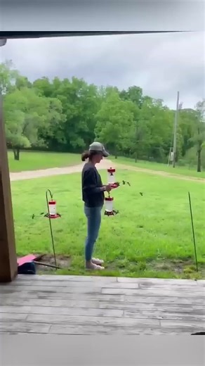 This family rescued a helpless hummingbird and helped it return to nature #rescue #birds | Animal Life Uncovered