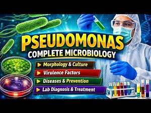 Pseudomonas Explained | Morphology, Culture, Virulence, Lab Diagnosis & Treatment | Microbiology