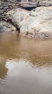 Telegraph Station is looking gorgeous after a soaking on Friday afternoon ✨ Share your rain pics in the comments below 👇 | ABC Alice Springs