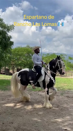 Estamos ubicados en Vega Arriba Chiquimula, a 10 min del centro de Chiquimula, yendo hacia Tierra Colorada. Entra todo vehiculo y moto. Abierto los 7 dias de la semana de 7:00am a 10:00pm Presione aca para ver nuestro menu: https://drive.google.com/file/d/15zRTb5UeAzpd6IMN046NUNq5pVRPfo3U/view?usp=drivesdk Pesione aca para ver nuestra ubicación y venir a visitarnos : https://maps.app.goo.gl/HqwhmvNfXjysQ6hz6 RANCHO LAS LOMAS Hotel, restaurante, piscinas, mirador, caballos etc ☎️4847 3112 Www.Ran