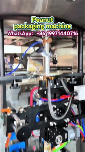nut packaging machine，20-500 grams peanut #nutpackagingmachine #packagingmachine #packagingmachinery