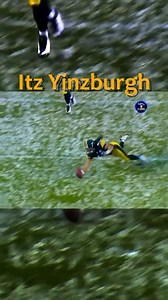 Steelers fan cave on Reels