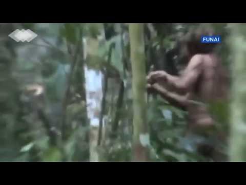 Brazil releases footage of Indian alone in jungle for decades