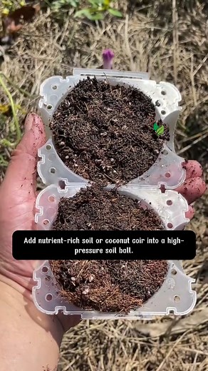 43K views · 258 reactions | Plant Rooting Ball If you want to become the master of a future nursery, make sure to save this video | Terra Garden | Facebook