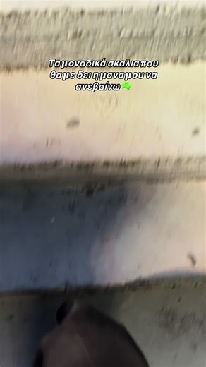 ☘️☘️☘️#foryou #viral #fy#pao