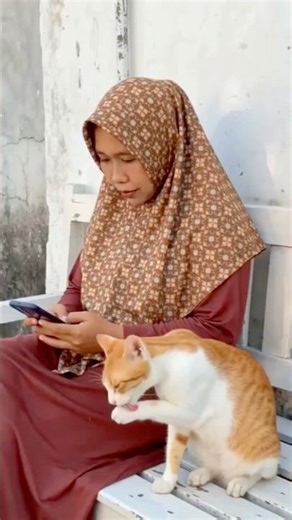 Funny Cat and Granny 🤣🤣 #ytshorts #funny #goviral #trendingshorts