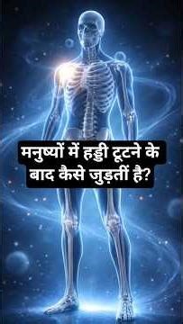 हड्डी टूटने के बाद कैसे जुड़तीं है आईए जानते हैं || The InSight World #science #gk #biology