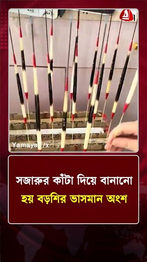 সজারুর কাঁটা দিয়ে বানানো হয় বড়শির ভাসমান অংশ | Porcupine | News Update | Protidiner Bangladesh
