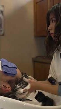 💈(ASMR) He Trusted Her Judgment... and This Happened