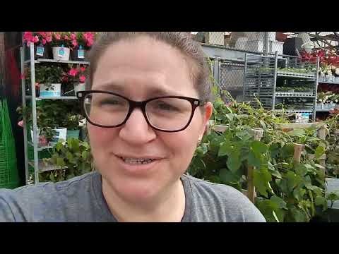 Lowe’s Garden Center Walkthrough 🌸 New Plants, Prices & What’s Worth Buying!
