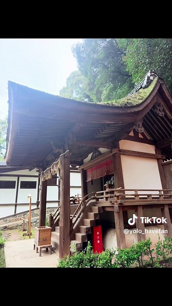 【平等院鳳凰堂と宇治上神社】 平等院鳳凰堂は、京都府宇治市にある世界遺産のお寺。 1052年、藤原頼通が父・道長の別荘を寺に改めて創建しました。 当時は「末法思想」＝世の中が乱れるとされていた時代。 人々は極楽往生を強く願っており、鳳凰堂は“極楽浄土の宮殿”を現世に表した建築としてつくられました。 建物全体が阿弥陀如来のいる極楽の世界を体現していて、池に映る姿も含めてその美しさが語り継がれています。 宇治上神社は、平安時代に創建され、こちらも歴史ある世界遺産です。仁徳天皇の兄、ウジノワキをお祀りしています。 私がこよなく愛する神功皇后はウジノワキの祖母なので、こちらにもお社あるかなと思ったらちゃんとありました✨ 武内宿禰は神功皇后の側近で、一緒のお社に祀られているのも嬉しかったです🥹 #平等院鳳凰堂 #宇治上神社 #宇治散歩 #京都旅行 #世界遺産めぐり #神社巡り #日本の美 #古都の風景 #japan #kyoto