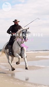 A horse culture like no other awaits you in France! On 𝗧𝗵𝗲 𝗖𝗮𝗺𝗮𝗿𝗴𝘂𝗲 𝗥𝗶𝗱𝗲, you’ll ride the famous white ‘Horses of the Sea’ across their salt-splashed homeland, under the wing of real French cowboys! 🤠 🇫🇷 Stay & ride with a Camargue farming family 🐮 Herd cattle with the cowboys 🌊 Canter through the surf 🏡 Enjoy luxury accommodation 🥐 Feast on incredible French cuisine! The Camargue Ride promises next level equestrian culture AND top tier hospitality! ONE SPOT LEFT this Octob