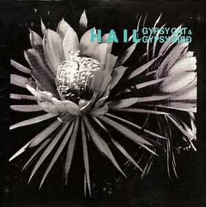 Hail - Gypsy Cat & Gypsy Bird