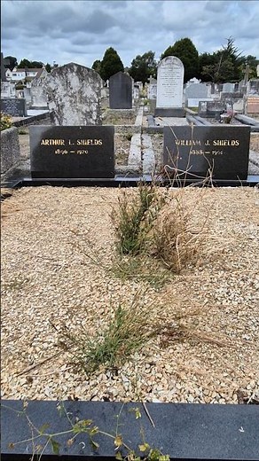 Graves of Actor Brothers, Arthur Shields & Barry Fitzgerald, in Deansgrange Cemetery #shorts #grave