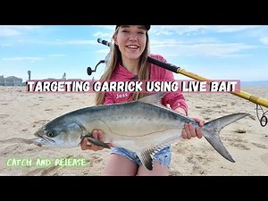 Targeting fish in the surf-zone using live mullet// Bae finally joins!