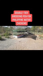 57K views · 822 reactions | Double-tier Brooding Pen for Philippine Native Chickens | SirJuan Agriventure | Facebook
